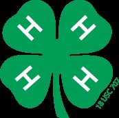 4Hgraphic
